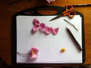 anemone plus desk