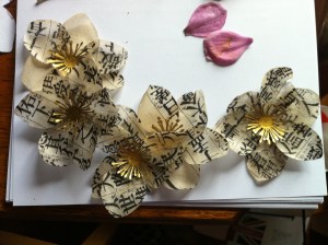 anemones plus petals