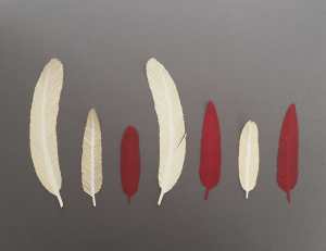 img_8356-low-res-copy